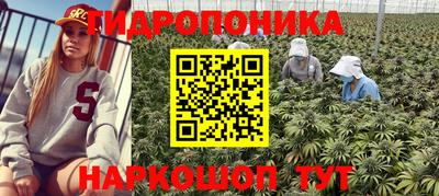 молекула духа Апшеронск