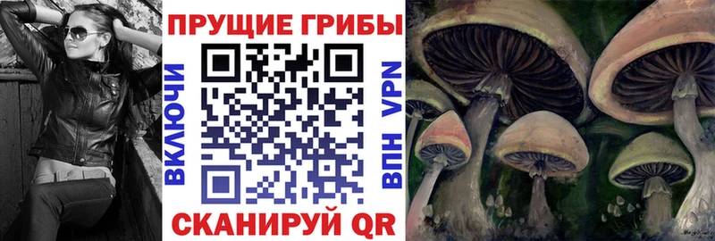цены наркотик  Выкса  Галлюциногенные грибы ЛСД 
