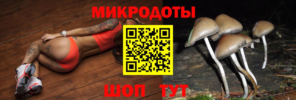 Выкса  Псилоцибиновые грибы Psilocybine cubensis  продажа наркотиков  Вход с VPN 