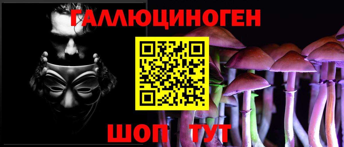 Псилоцибиновые грибы GOLDEN TEACHER  Выкса 