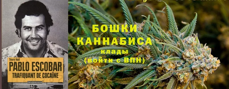 продажа наркотиков  площадка наркотические препараты  MEGA ONION  Каннабис THC 21%  Выкса 